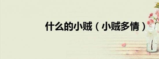 什么的小贼（小贼多情）