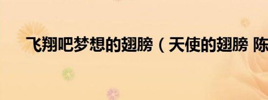 飞翔吧梦想的翅膀（天使的翅膀 陈翔）