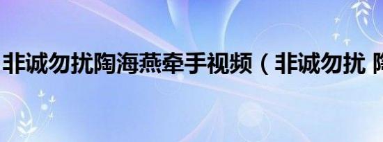 非诚勿扰陶海燕牵手视频（非诚勿扰 陶海燕）
