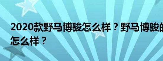 2020款野马博骏怎么样？野马博骏的发动机怎么样？