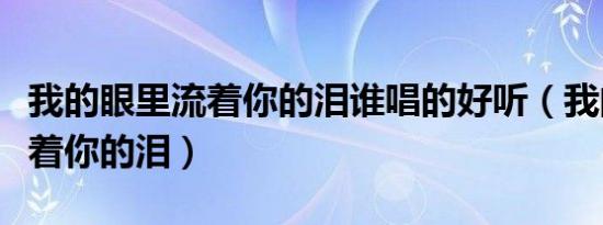 我的眼里流着你的泪谁唱的好听（我的眼里流着你的泪）