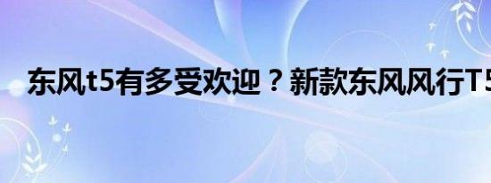 东风t5有多受欢迎？新款东风风行T5价格