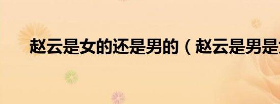 赵云是女的还是男的（赵云是男是女）