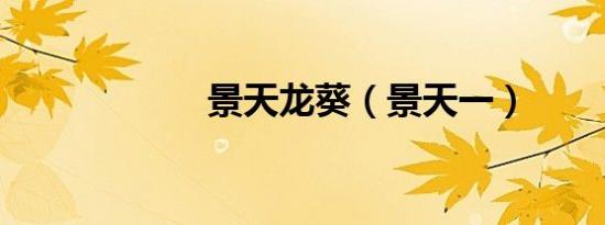 景天龙葵（景天一）