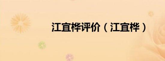 江宜桦评价（江宜桦）