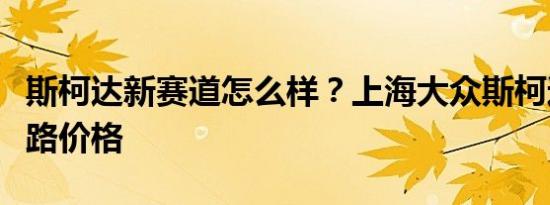 斯柯达新赛道怎么样？上海大众斯柯达高速公路价格