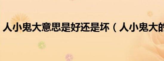 人小鬼大意思是好还是坏（人小鬼大的意思）