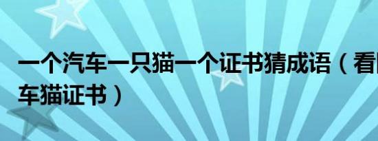 一个汽车一只猫一个证书猜成语（看图猜成语车猫证书）