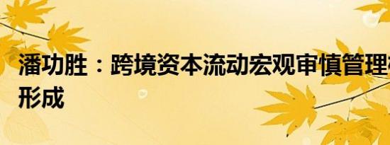 潘功胜：跨境资本流动宏观审慎管理框架初步形成