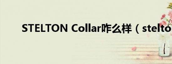 STELTON Collar咋么样（stelton）
