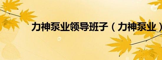 力神泵业领导班子（力神泵业）