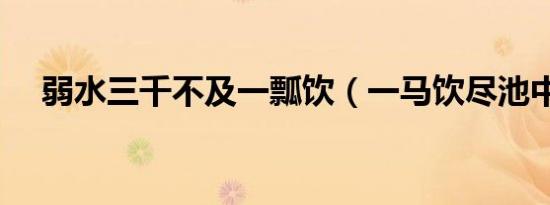 弱水三千不及一瓢饮（一马饮尽池中水）