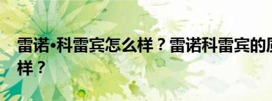 雷诺·科雷宾怎么样？雷诺科雷宾的质量怎么样？
