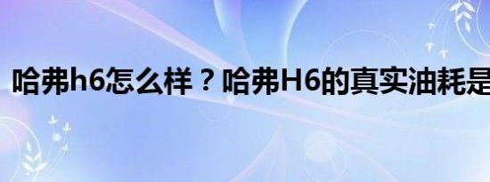 哈弗h6怎么样？哈弗H6的真实油耗是多少？