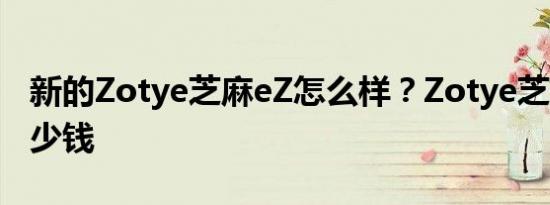 新的Zotye芝麻eZ怎么样？Zotye芝麻e30多少钱
