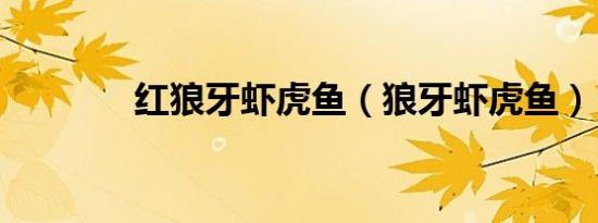 红狼牙虾虎鱼（狼牙虾虎鱼）