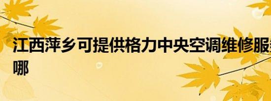 江西萍乡可提供格力中央空调维修服务地址在哪