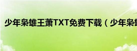 少年枭雄王萧TXT免费下载（少年枭雄txt）