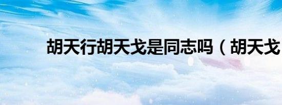 胡天行胡天戈是同志吗（胡天戈）