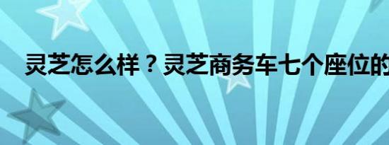灵芝怎么样？灵芝商务车七个座位的价格