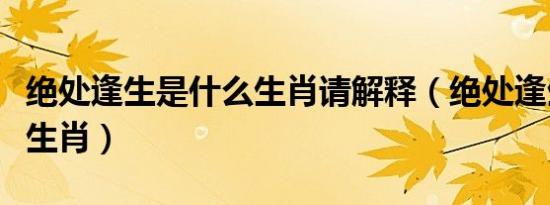 绝处逢生是什么生肖请解释（绝处逢生是什么生肖）