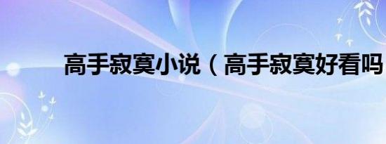 高手寂寞小说（高手寂寞好看吗）
