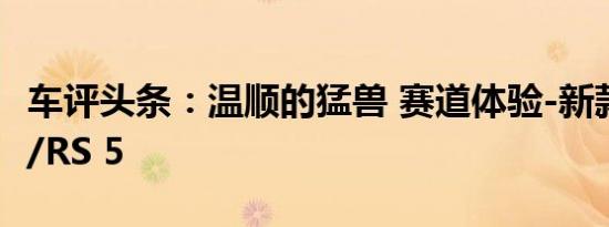 车评头条：温顺的猛兽 赛道体验-新款奥迪R8/RS 5