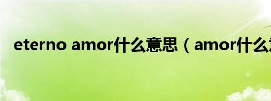 eterno amor什么意思（amor什么意思）