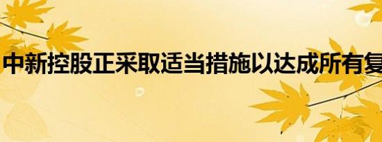 中新控股正采取适当措施以达成所有复牌条件