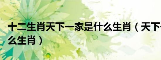 十二生肖天下一家是什么生肖（天下一家是什么生肖）