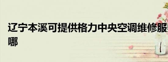 辽宁本溪可提供格力中央空调维修服务地址在哪