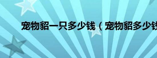 宠物貂一只多少钱（宠物貂多少钱）