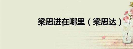 梁思进在哪里（梁思达）