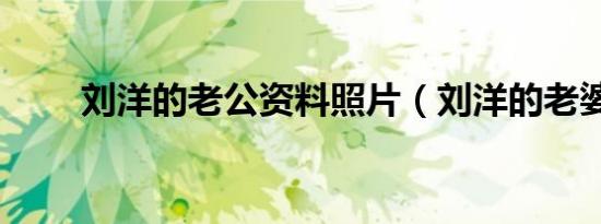 刘洋的老公资料照片（刘洋的老婆）
