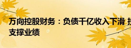 万向控股财务：负债千亿收入下滑 投资收益支撑业绩