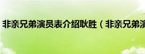 非亲兄弟演员表介绍耿胜（非亲兄弟演员表）
