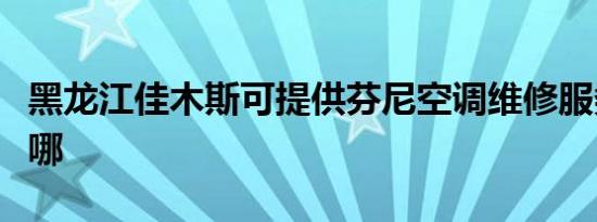 黑龙江佳木斯可提供芬尼空调维修服务地址在哪