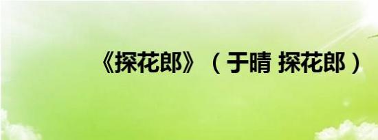 《探花郎》（于晴 探花郎）