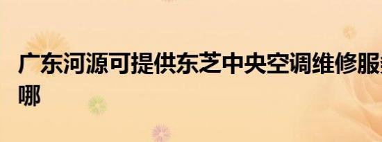 广东河源可提供东芝中央空调维修服务地址在哪