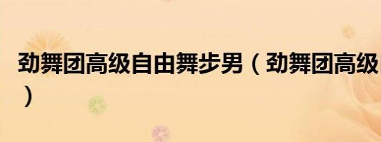 劲舞团高级自由舞步男（劲舞团高级自由舞步）