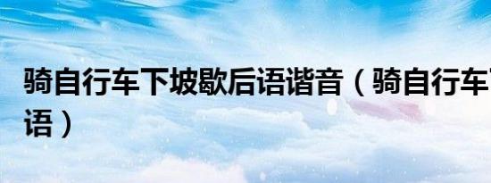 骑自行车下坡歇后语谐音（骑自行车下坡歇后语）