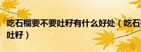 吃石榴要不要吐籽有什么好处（吃石榴要不要吐籽）