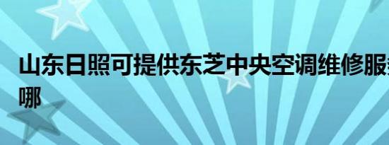 山东日照可提供东芝中央空调维修服务地址在哪