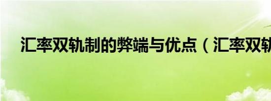 汇率双轨制的弊端与优点（汇率双轨制）