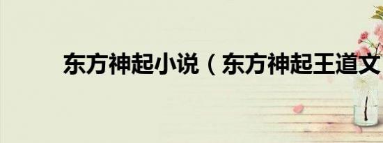 东方神起小说（东方神起王道文）