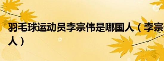 羽毛球运动员李宗伟是哪国人（李宗伟是哪国人）