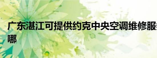 广东湛江可提供约克中央空调维修服务地址在哪
