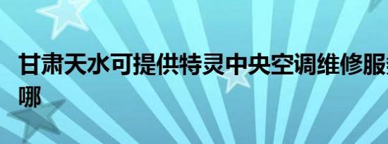 甘肃天水可提供特灵中央空调维修服务地址在哪