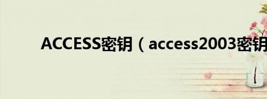 ACCESS密钥（access2003密钥）