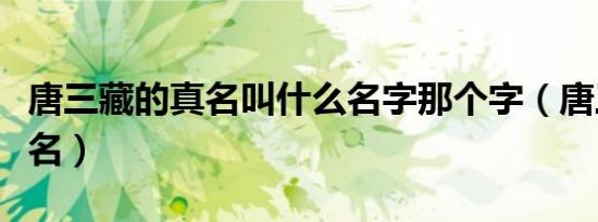 唐三藏的真名叫什么名字那个字（唐三藏的真名）